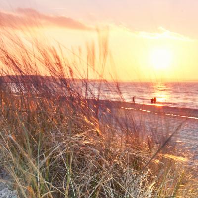 00008 Dnen Am Meer